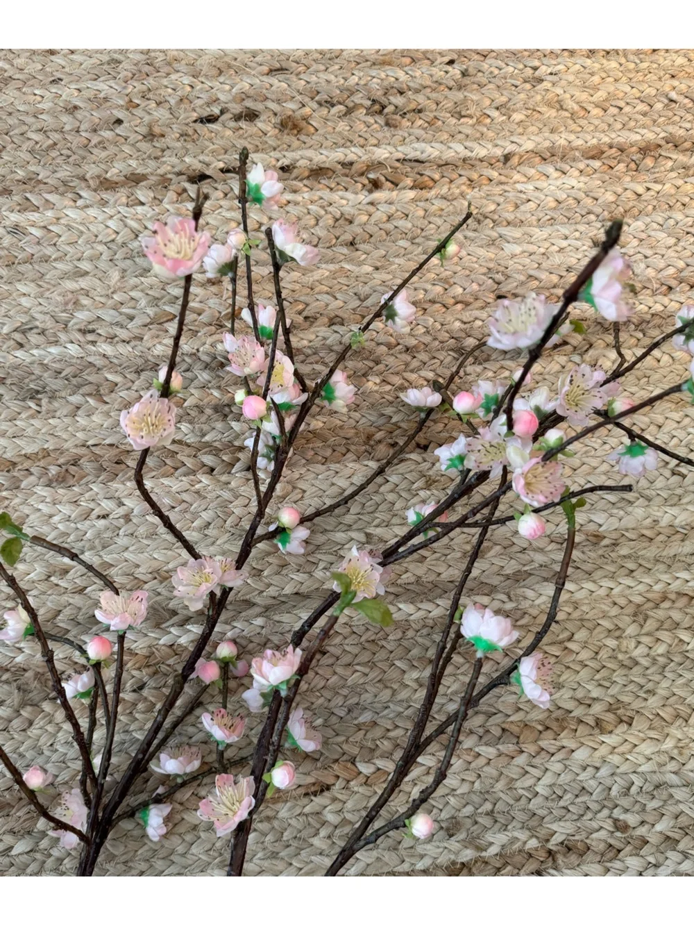 Three West Elm Cherry Blossom Branches